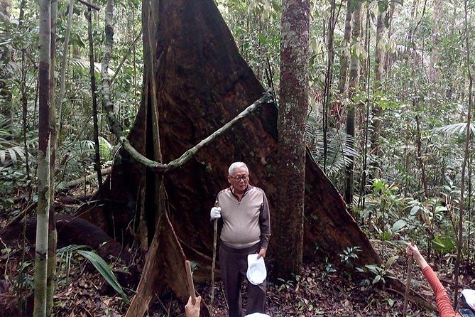 Half Day Tour- Jaguar Jungle Survival - Amazon Rainforest - From Manaus - Inclusions