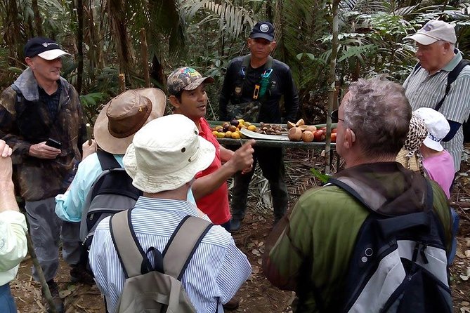 Half Day Tour- Jaguar Jungle Survival - Amazon Rainforest - From Manaus - Health and Accessibility