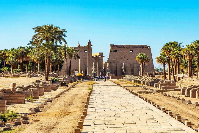 Half Day Tour : Luxor Temple and Karnak Temples ( Private) - Private Tour Experience