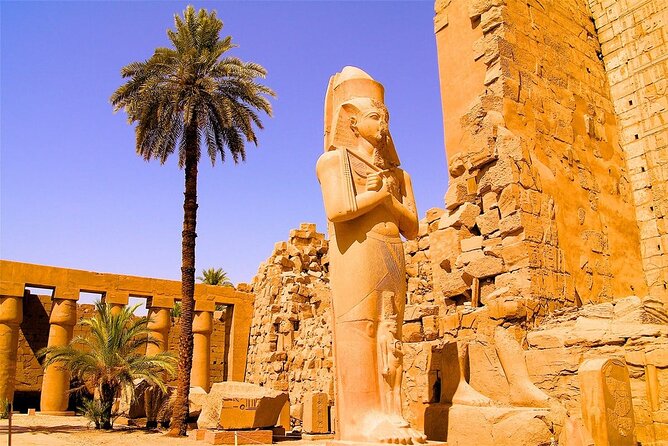 Half Day Tour : Luxor Temple and Karnak Temples ( Private) - Visiting Luxor Temple