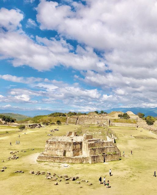 Half Day Tour Monte Alban - Highlights
