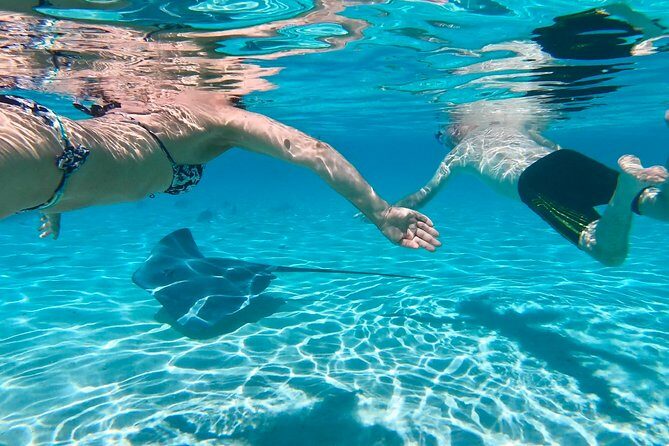Half Day Tour : Moorea Snorkeling & Sailing on a Catamaran named Taboo - What to Expect: A Step-by-Step Breakdown of the Itinerary