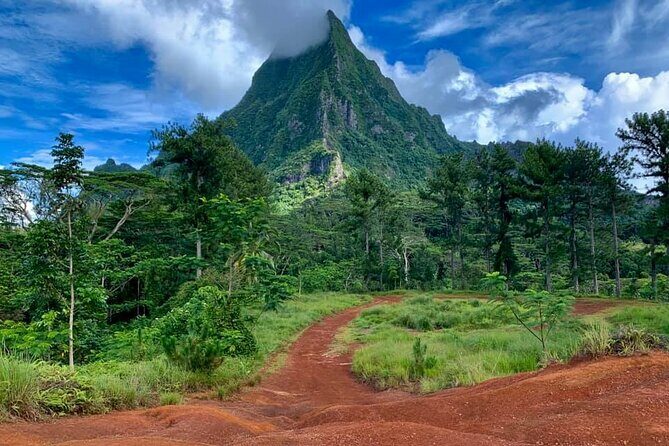 Half-Day Tour of Moorea Island in a Small Group - A Closer Look at the Itinerary: What You’ll Experience