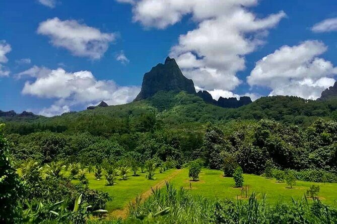 Half-Day Tour of Moorea Island in a Small Group - Who Will Love This Tour?