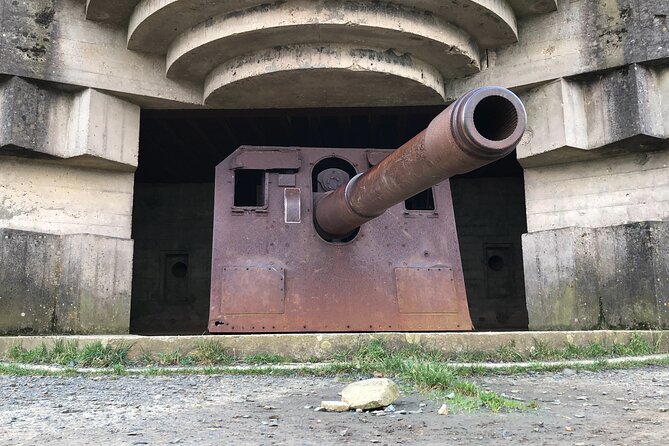 Half-Day Tour of Omaha Sector With a Professional Guide - Historical Insights