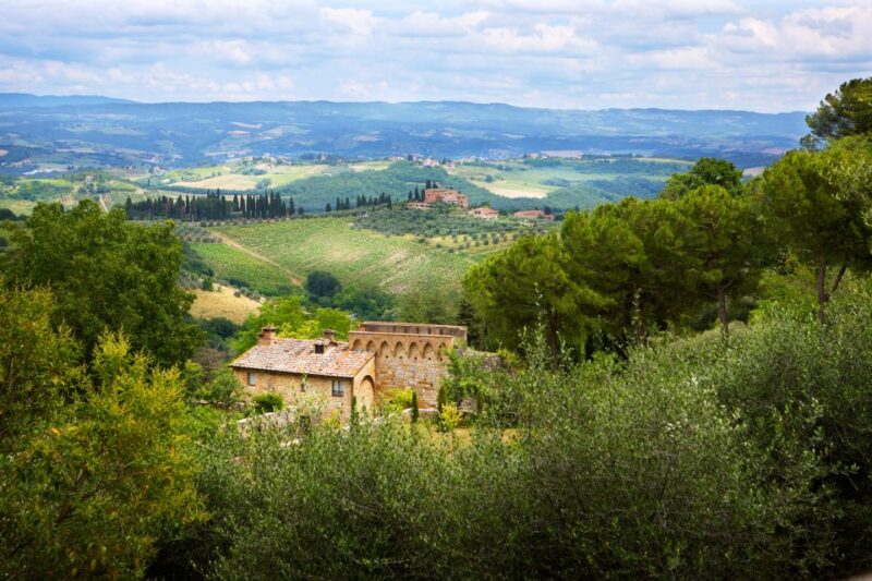 Half-Day Tour of San Gimignano From Florence - Highlights