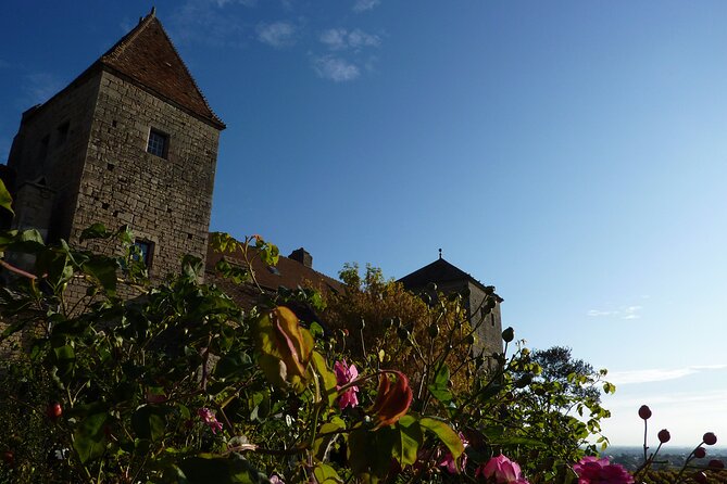 Half Day Tour of the Cote De Nuits Vineyards From Dijon - Strolling Through the Vineyards