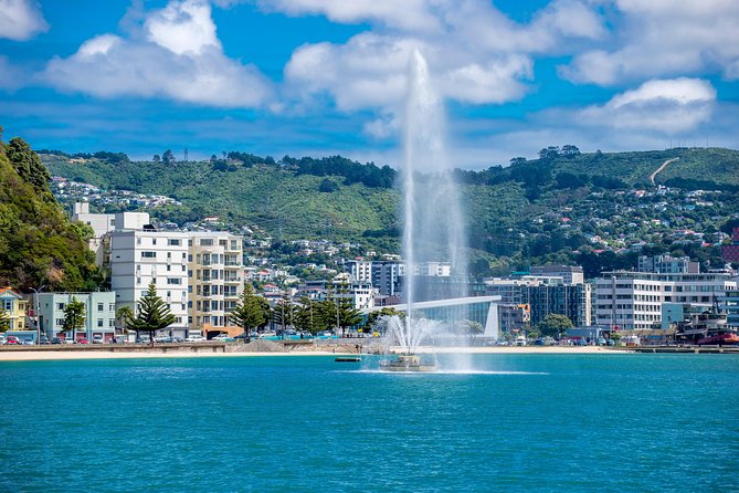 Half Day Tour of Wellington - Meeting Points for the Tour