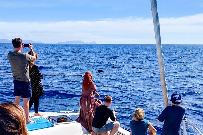 Half Day Tour on a Luxury Catamaran on Madeira Island - Additional Information