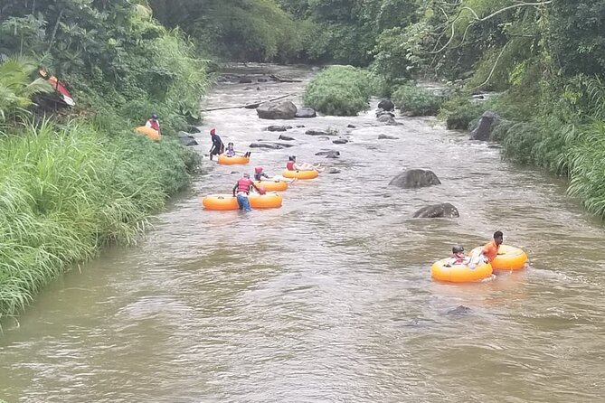 Half Day Tour - Popular Sites in Grenada, Forest Reserve,Spice Market,Waterfalls - Tour Highlights