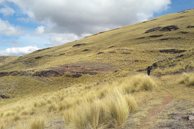 Half Day Tour Portal Aramu Muru From Puno - Participation Requirements
