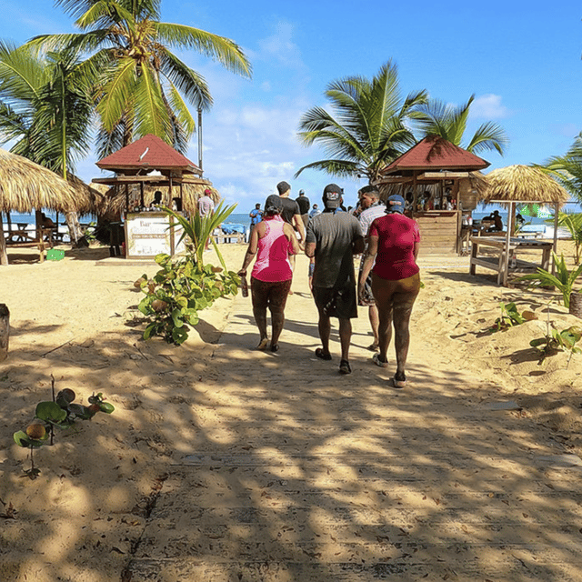 Half Day Tour Redonda Mountain Buggy Zip Line Blue Cave - Zip Line Experience