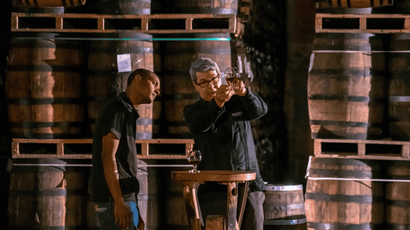 Half-Day Tour: Ron Barceló Factory Exp. From Santo Domingo - Key Points