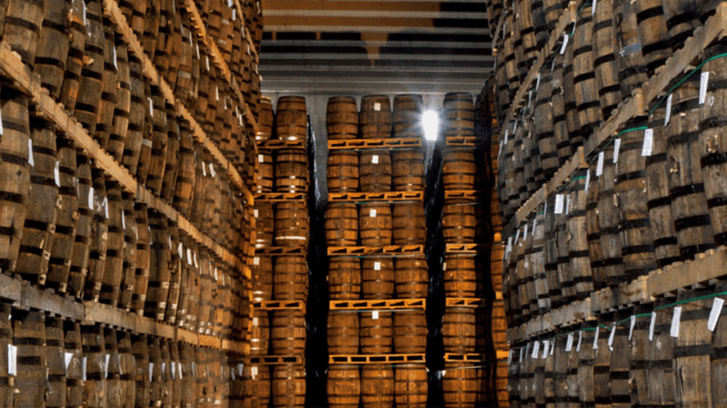 Half-Day Tour: Ron Barceló Factory Exp. From Santo Domingo - Itinerary Details