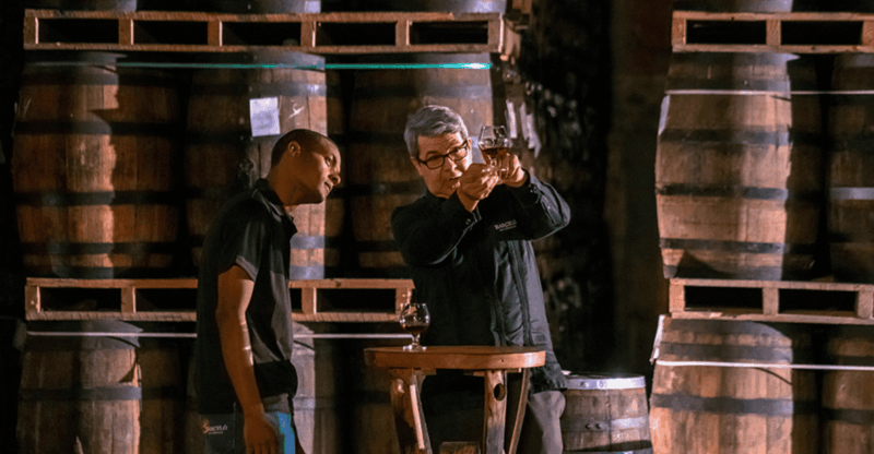 Half-Day Tour: Ron Barceló Factory Exp. From Santo Domingo - Experience Highlights