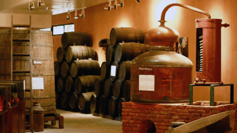 Half-Day Tour: Ron Barceló Factory Exp. From Santo Domingo - Recommended Attire