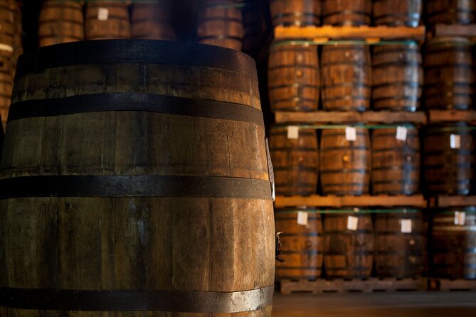 Half-Day Tour: Ron Barceló Factory Experience From Santo Domingo - Pickup Information