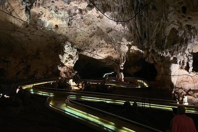 Half-Day Tour: Ron Barceló Factory Experience From Santo Domingo - What to Expect