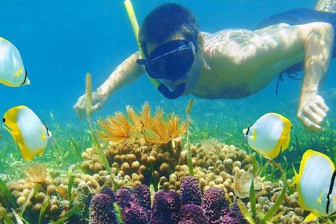 Half Day Tour Snorkeling in Nha Trang Bay Included Lunch - Itinerary Highlights