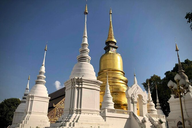 Half Day Tour Suan Dok Temple, Umong Temple & Doi Suthep Temple - Umong Temple