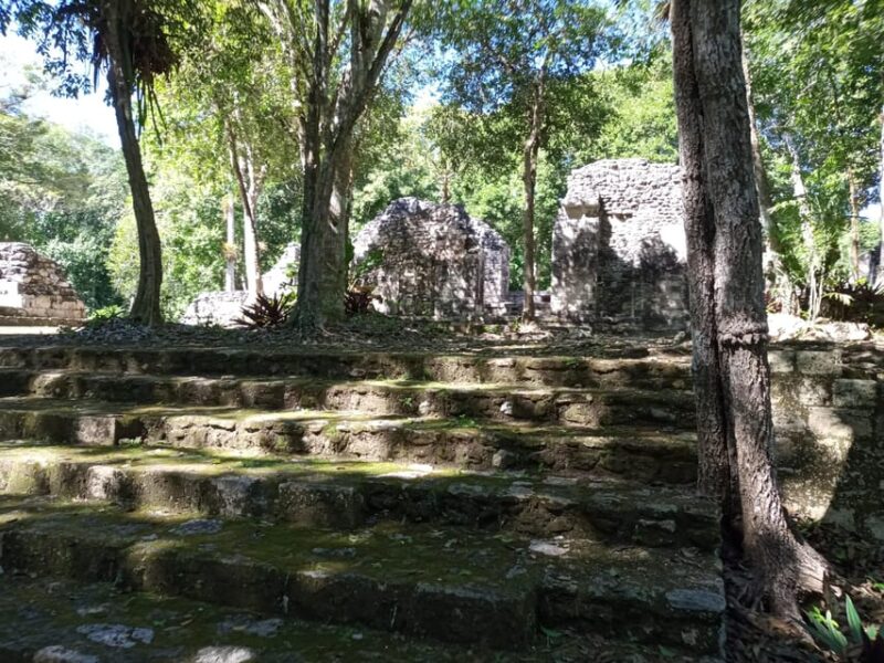 Half Day Tour to Becan Mayan Ruins From Bacalar or Chetumal - Guided Tour Experience