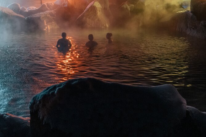 Half Day Tour to Chena Hot Springs From Fairbanks - Tour Overview