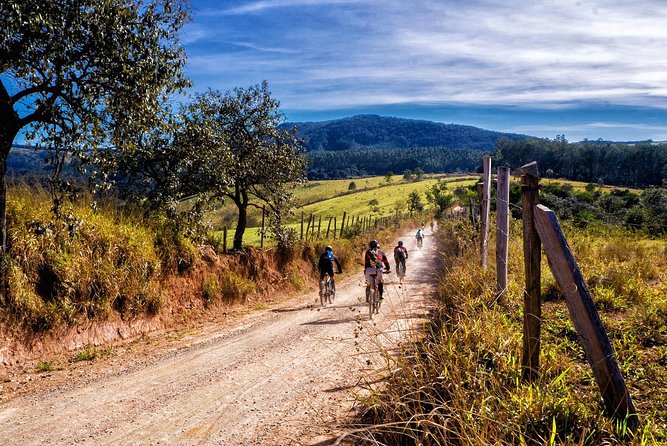 HALF-DAY Tour to Chianti Wine Region: CHIANTI COLORS & FLAVORS - Inclusions
