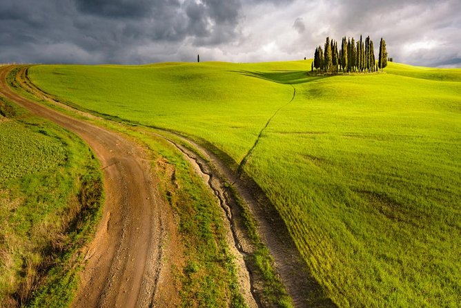 HALF-DAY Tour to Chianti Wine Region: CHIANTI COLORS & FLAVORS - Winery Visits