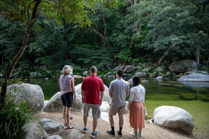 Half Day Tour to Daintree Rainforest and Mossman Gorge - Transportation & Comfort