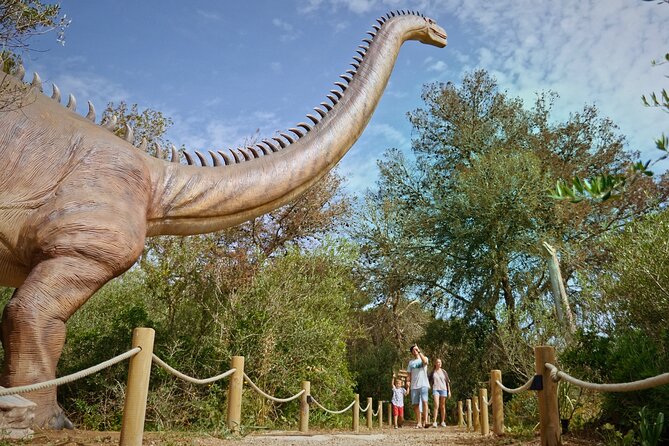 Half Day Tour to Dinosaur Land in Mallorca - Meeting and Pickup Details