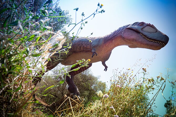 Half Day Tour to Dinosaur Land in Mallorca - Tour Ratings and Reviews