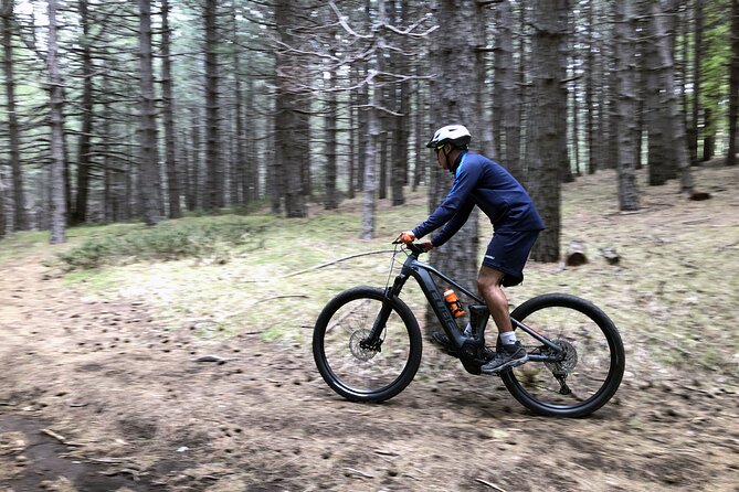 Half Day Tour to Discover Etna by E-Mtb - Lunch Break