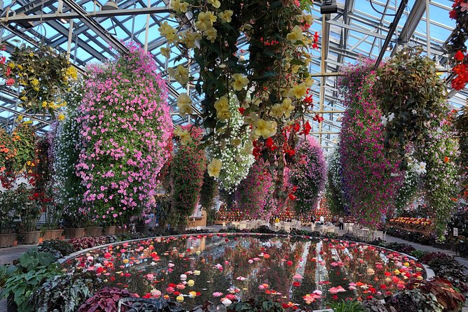Half-Day Tour to Enjoy Japans Largest Illumination and Outlet - Tour Details