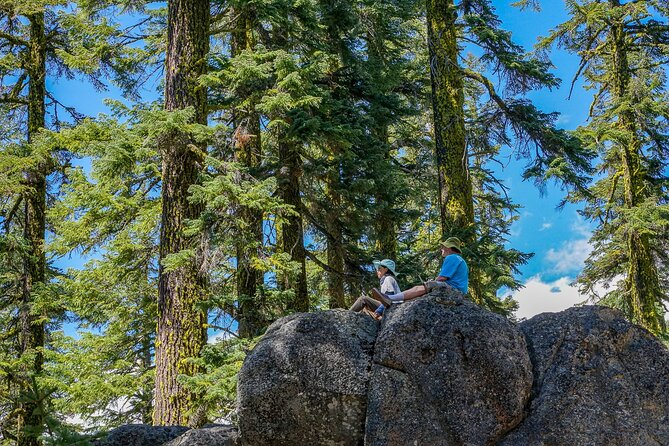 Half Day Tour to Faery Waterfalls, Castle Lake and Mount Shasta - Meeting Point and Transportation
