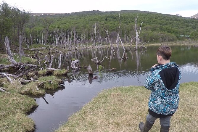 Half Day Tour to Lake Fagnano and Escondido - Tour Overview