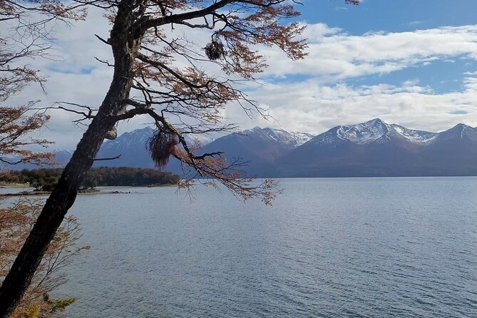 Half Day Tour to Lake Fagnano and Escondido - Itinerary and Stops