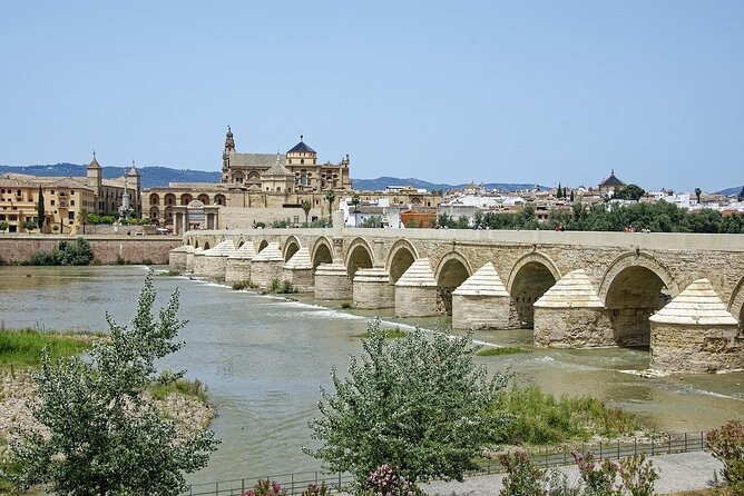 Half Day Tour to Mosque-Cathedral of Cordoba and Jewish Quarter - Additional Details
