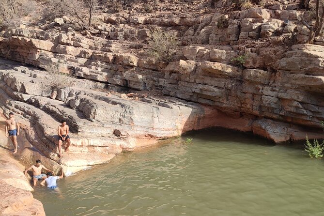 Half Day Tour to Paradise Valley - Customer Feedback and Reviews