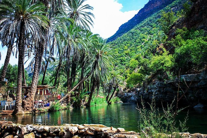 Half-Day Tour to Paradise Valley From Agadir - Reviews and Feedback
