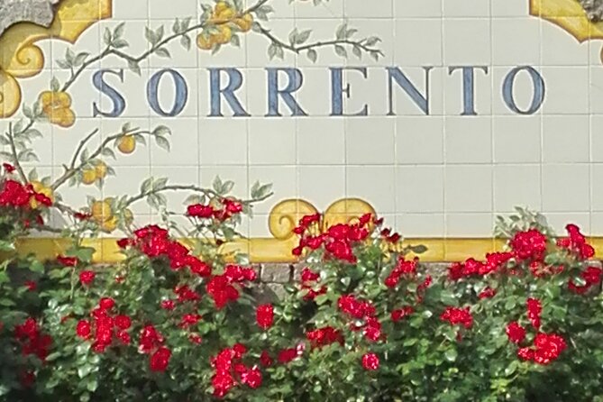 Half Day Tour to Pompeii From Sorrento - Key Points