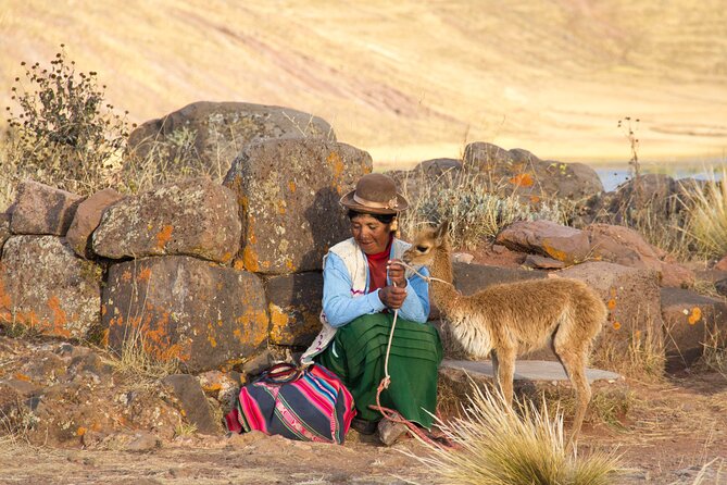 Half Day Tour to Sillustani From Puno - Discovering Atuncollas Rural Community