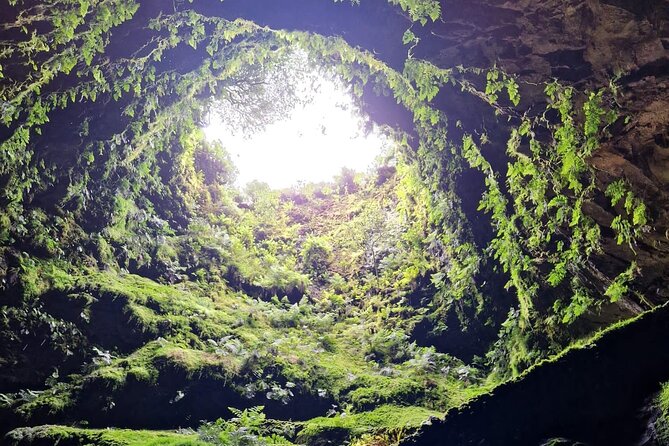 Half Day Tour to the Caves - Pickup and Dropoff