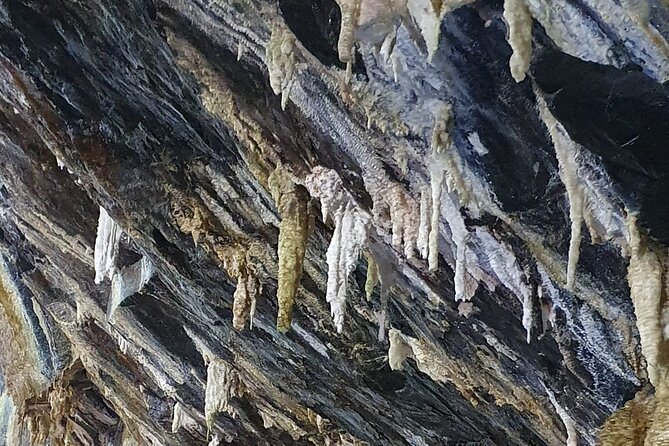 Half Day Tour to the Caves - Adventure Highlights