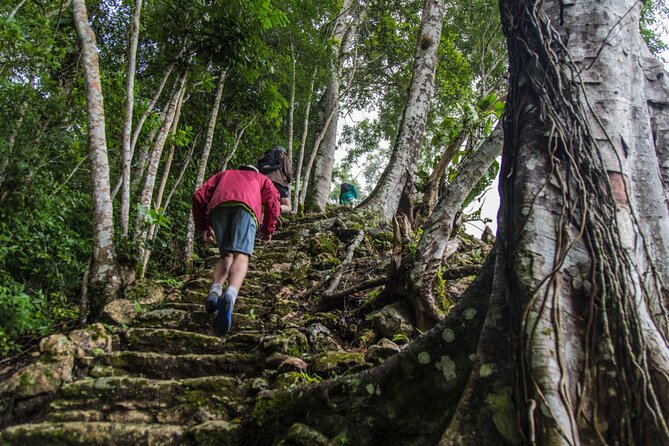 Half Day Tour to the Heart of Maya Civilization in Belize - Tour Highlights