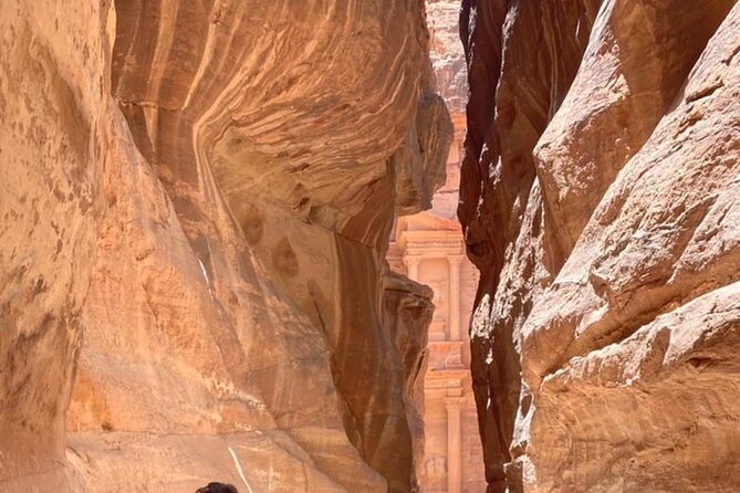 Half Day Tour to the Wonderful City of Petra - Transportation and Comfort