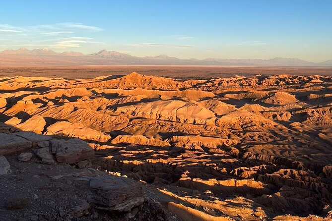 Half Day Tour to Valle De La Luna - Reviews Highlights