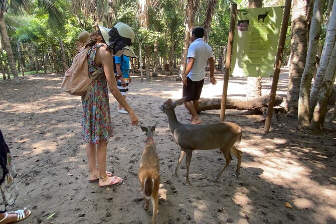 Half-Day Tour to Ventanilla, Mazunte, Zipolite and Puerto Angel - Traveler Reviews