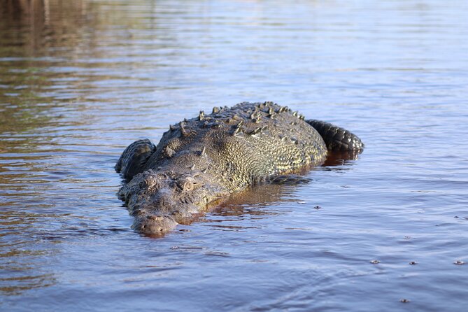 Half-Day Tour to Ventanilla, Mazunte, Zipolite and Puerto Angel - Frequently Asked Questions