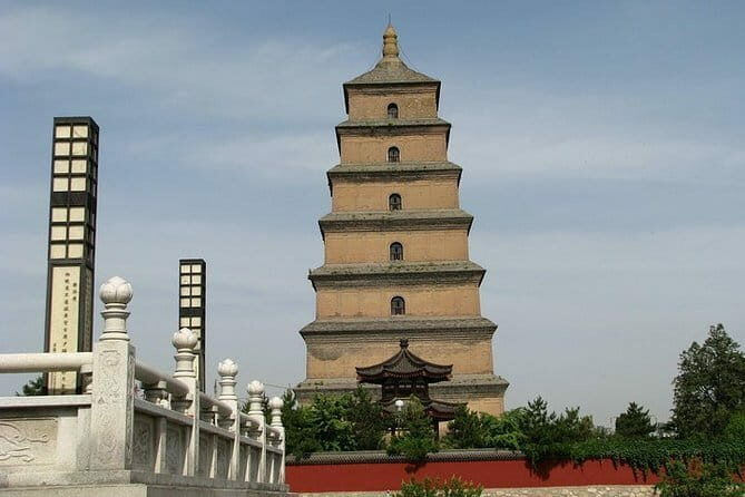 Half Day Tour to Xi'an Wild Panda Breeding and Protecting Center - Final Thoughts