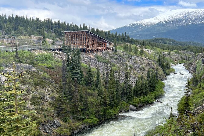 Half Day Tour to Yukon and Suspension Bridge - Guest Testimonials